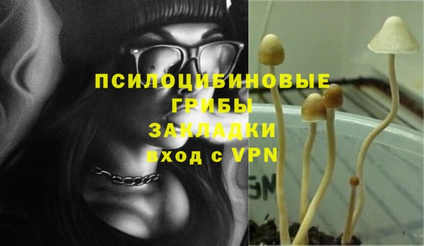 дживик Алексеевка