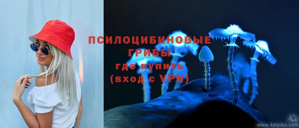 дживик Алексеевка