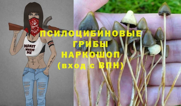 МДПВ Алзамай