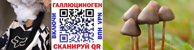 Псилоцибиновые грибы мицелий  цены наркотик  Вышний Волочёк 